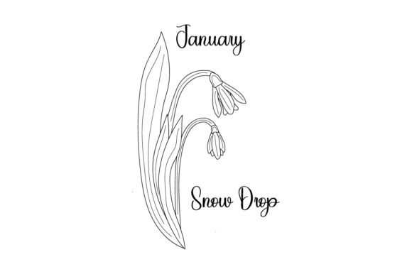Birth Month Flowers - January Embroidery Design Review