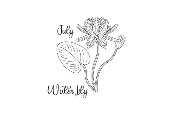 July Water Lily Embroidery Design Review